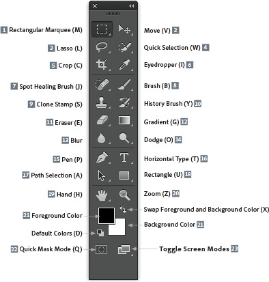 Adobe Illustrator Tools Description - softisni
